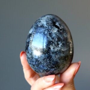 Iolite Egg Growing Prosperity Crystal Indigo Blue Finance Stone