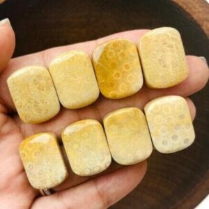 Yellow Coral Jade Bar Bead (1) Natural Fossil Polished Carving DRILLED Stone Pendant, Yellow White Cream Crystal Gemstone Yellow Coral Jade Bar Bead (1) Natural Fossil Polished Carving DRILLED Stone Pendant, Yellow White Cream Crystal Gemstone