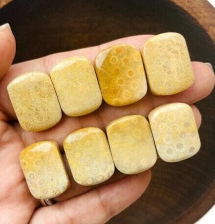 Yellow Coral Jade Bar Bead (1) Natural Fossil Polished Carving Drilled Stone Pendant, Yellow White Cream Crystal Gemstone