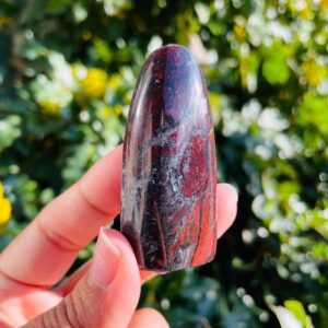 Blood Jade Stone (53.8G) Smooth Free Form Blood Jade Crystal, Ultra Rare Black Red Jade Stone, Self Standing Specimen Natural Jade Crystal Blood Jade Stone (53.8G) Smooth Free Form Blood Jade Crystal, Ultra Rare Black Red Jade Stone, Self Standing Specimen Natural Jade Crystal