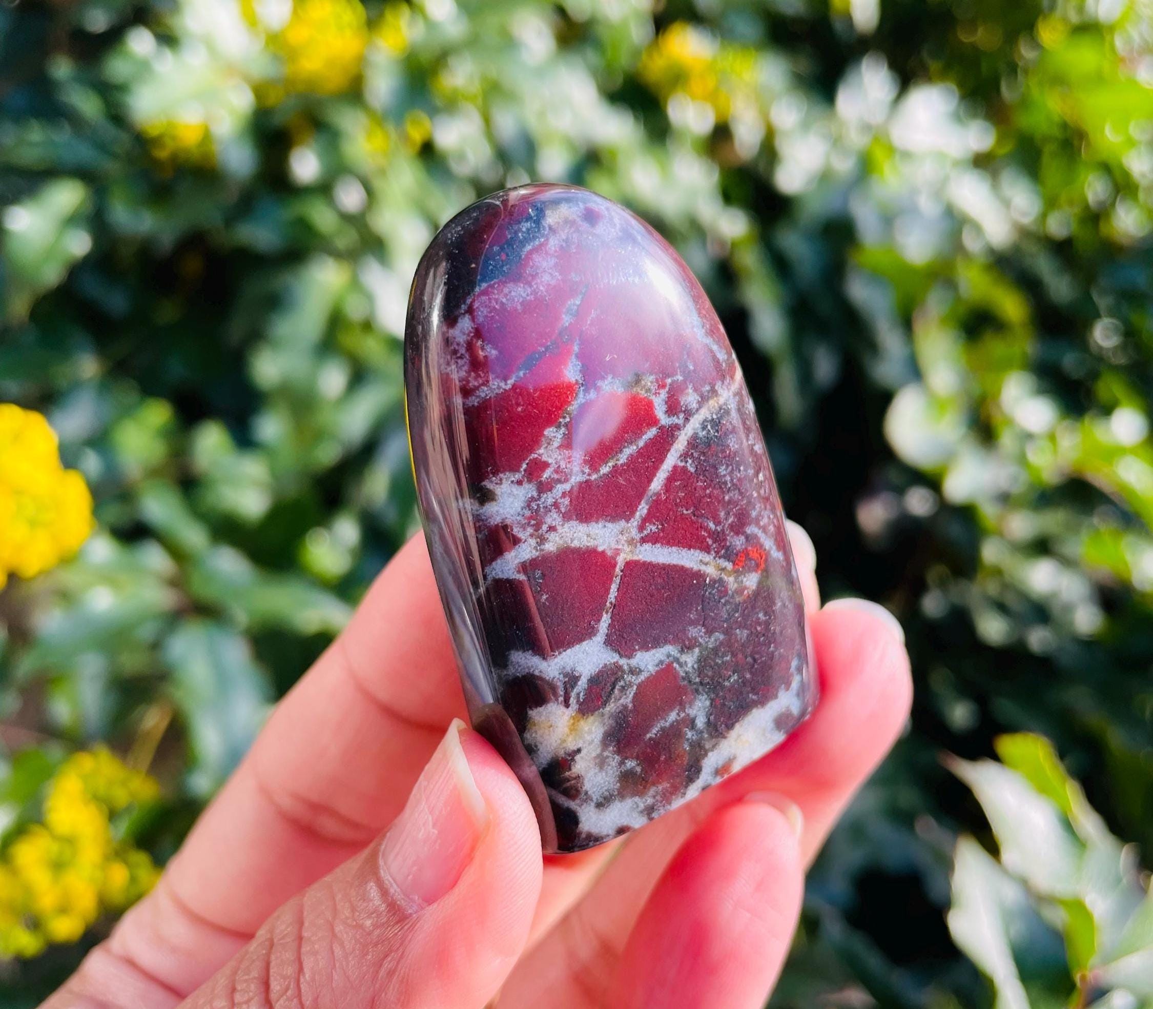 Blood Jade Stone (59.02g) Smooth Free Form Blood Jade Crystal, Ultra Rare Black Red Jade Stone, Self Standing Specimen Natural Jade Crystal