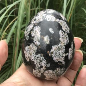 BLACK JADE CRYSTAL Egg: Crystals For Grounding And Protection