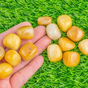 1 pc Natural Yellow Jade Medium Large Tumbled Stone- 0.8-1.5 inch