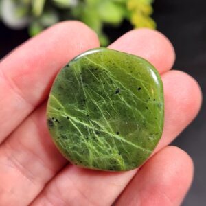 Canadian Green Jade Polished Palm Stone (1"+), Tumbled Jade Crystal Specimen Canadian Green Jade Polished Palm Stone (1"+), Tumbled Jade Crystal Specimen