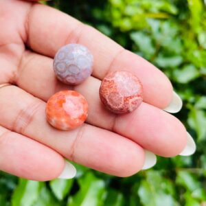 Coral Jade Crystal: Round Candy Color Fossilized Coral Tumbled Gemstone 8-11 mm Drilled Bead