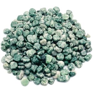 Green Dot Jade Chips – Qinghai Jade Gemstone Chips – Crystal Semi Tumbled Chips - Bulk Crystal - 7-9mm - Cp1235 Green Dot Jade Chips – Qinghai Jade Gemstone Chips – Crystal Semi Tumbled Chips - Bulk Crystal - 7-9mm - Cp1235