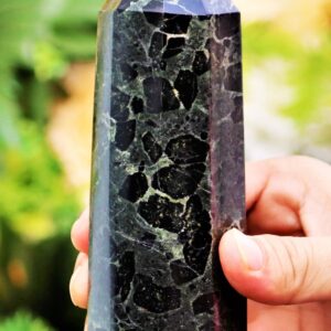 Green Kambaba Jasper Obelisk: Reiki Chakra Balancing Crystal Decor Green Kambaba Jasper Obelisk: Reiki Chakra Balancing Crystal Decor