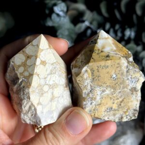 One Cobra Jasper Point