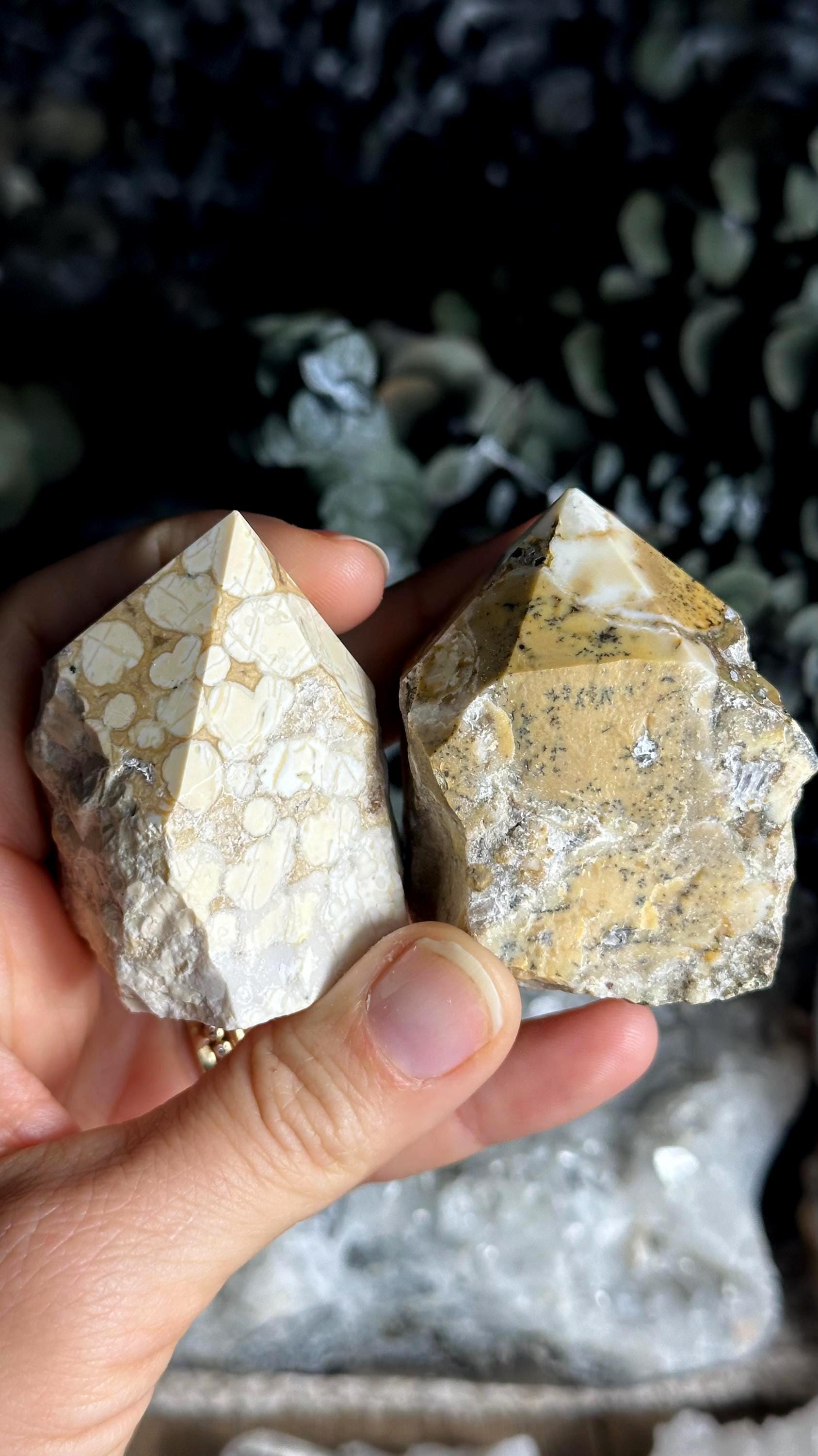 One Cobra Jasper Point