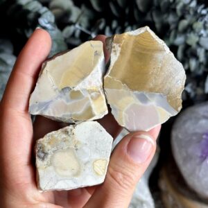 Cobra Jasper Slab: Half Polished, Half Raw