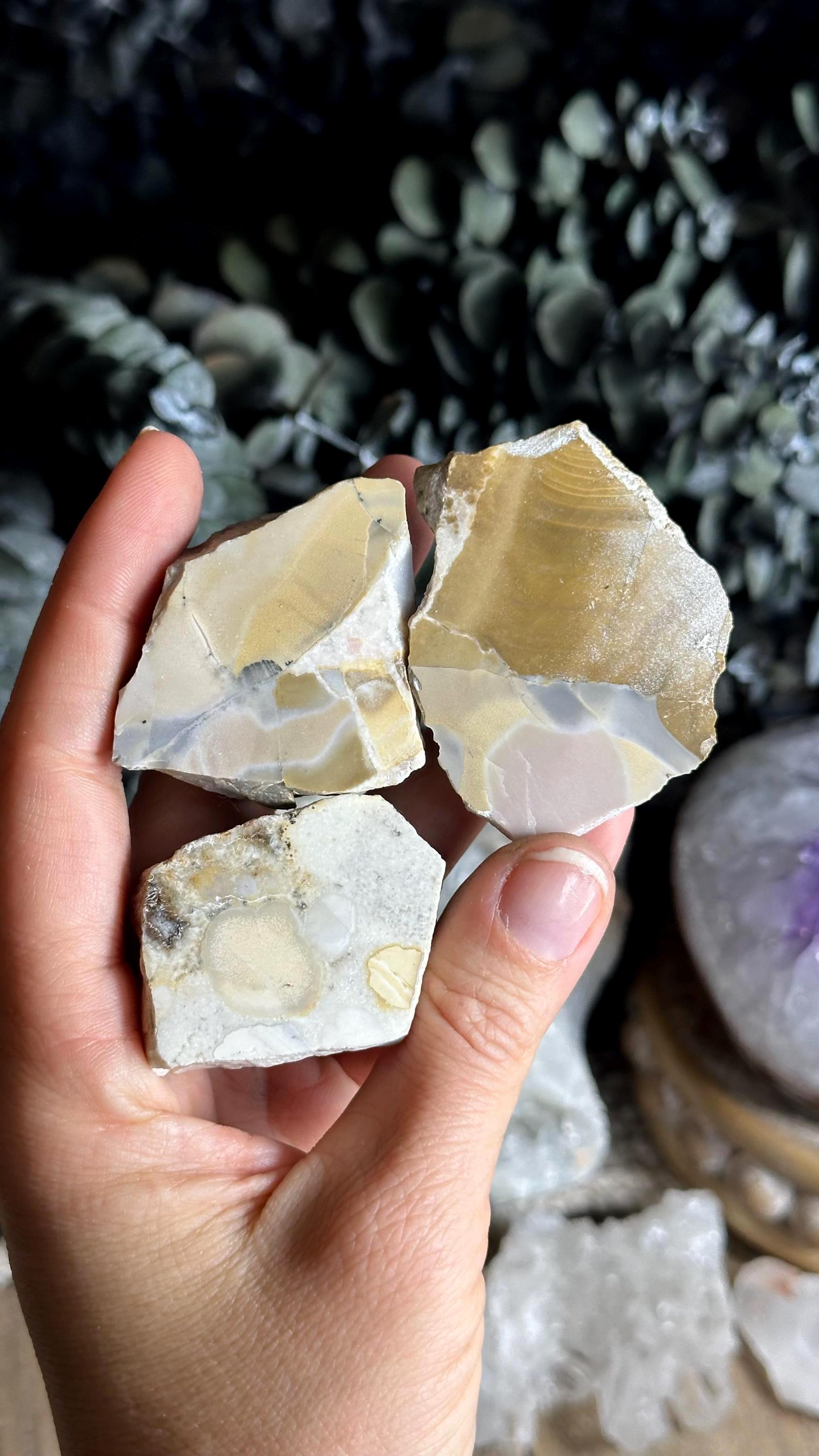 Cobra Jasper Slab: Half Polished, Half Raw Cobra Jasper Slab: Half Polished, Half Raw