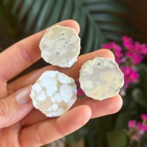 Cobra Jasper Stone Half Polished, Half Raw Cobra Jasper Stone Half Polished, Half Raw