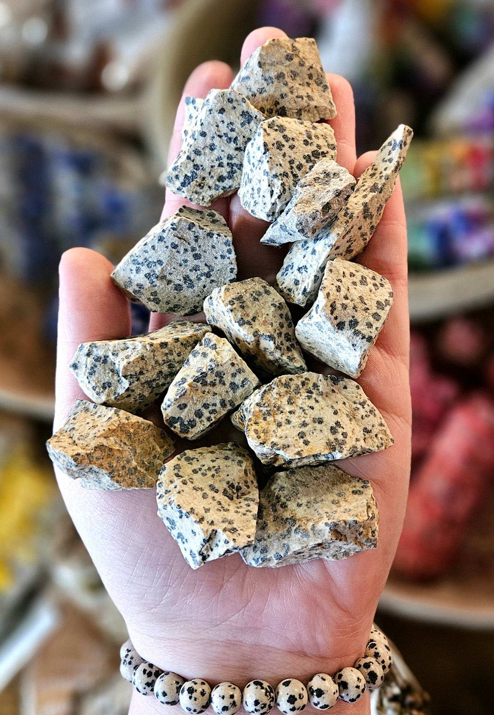 Dalmatian Jasper Rough Stone, One, Natural Rock Hound, Crystal Healing, Metaphysical Crystals, Stones, Rocks Dalmatian Jasper Rough Stone, One, Natural Rock Hound, Crystal Healing, Metaphysical Crystals, Stones, Rocks