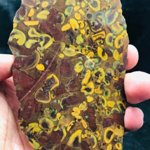 Raw Fruit Jasper Rough Slice | Natural Slab 161g 116x67x9.5mm