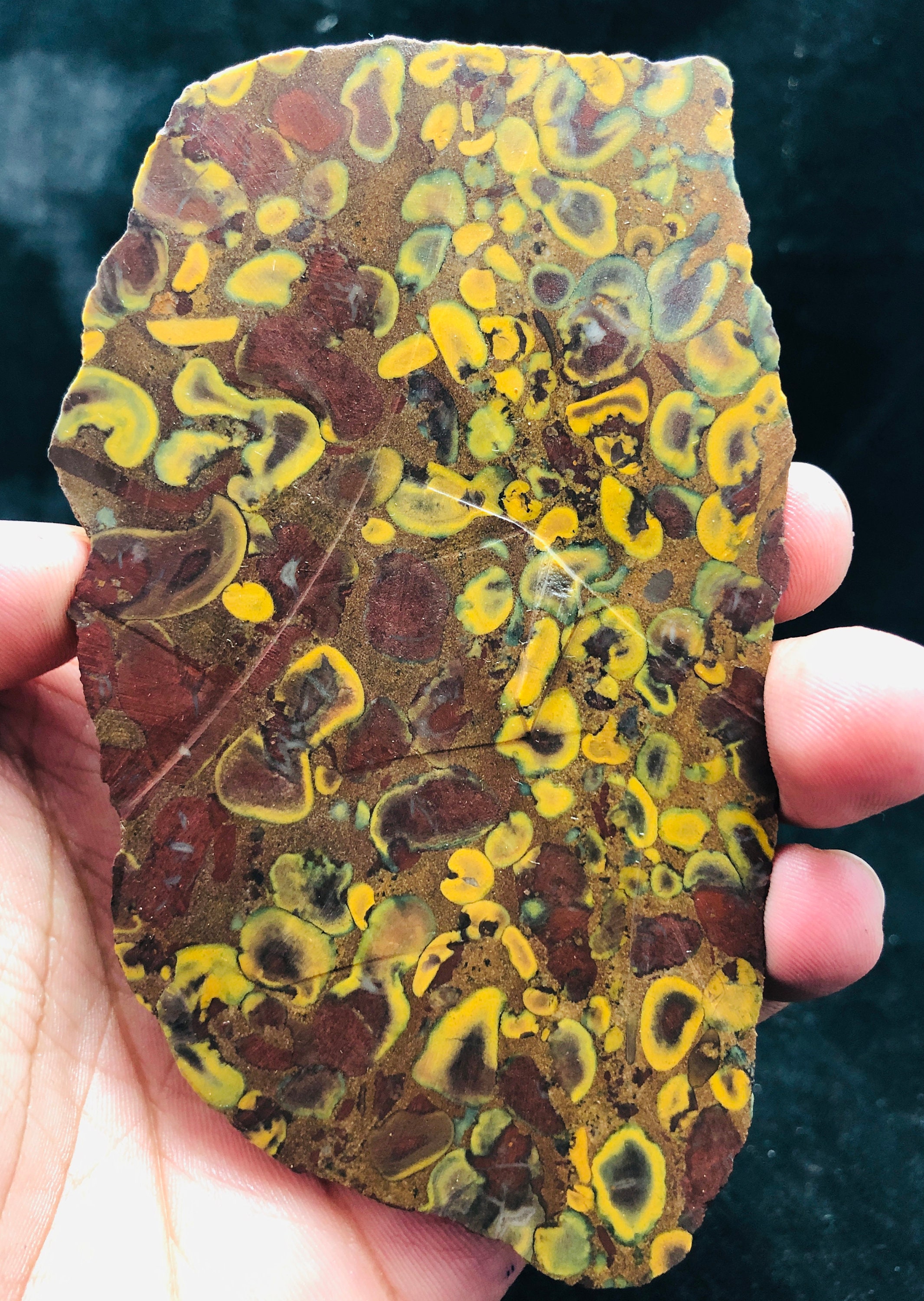 Raw Fruit Jasper Rough Slice | Natural Slab 161g 116x67x9.5mm