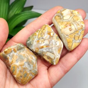 Ibis Jasper Crystal From Madagascar (30-45g), Brecciated Jasper Polished Specimen