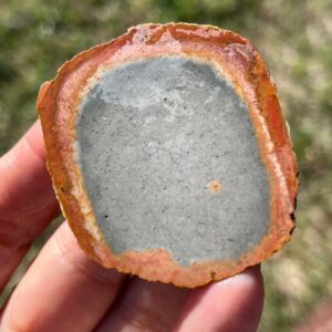 Polychrome Jasper rough lapidary natural stone not polished for cabbing
