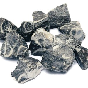 Raw Shell Jasper – Rough Shell Jasper – Raw Crystal – Chunk Stones - Ra1135