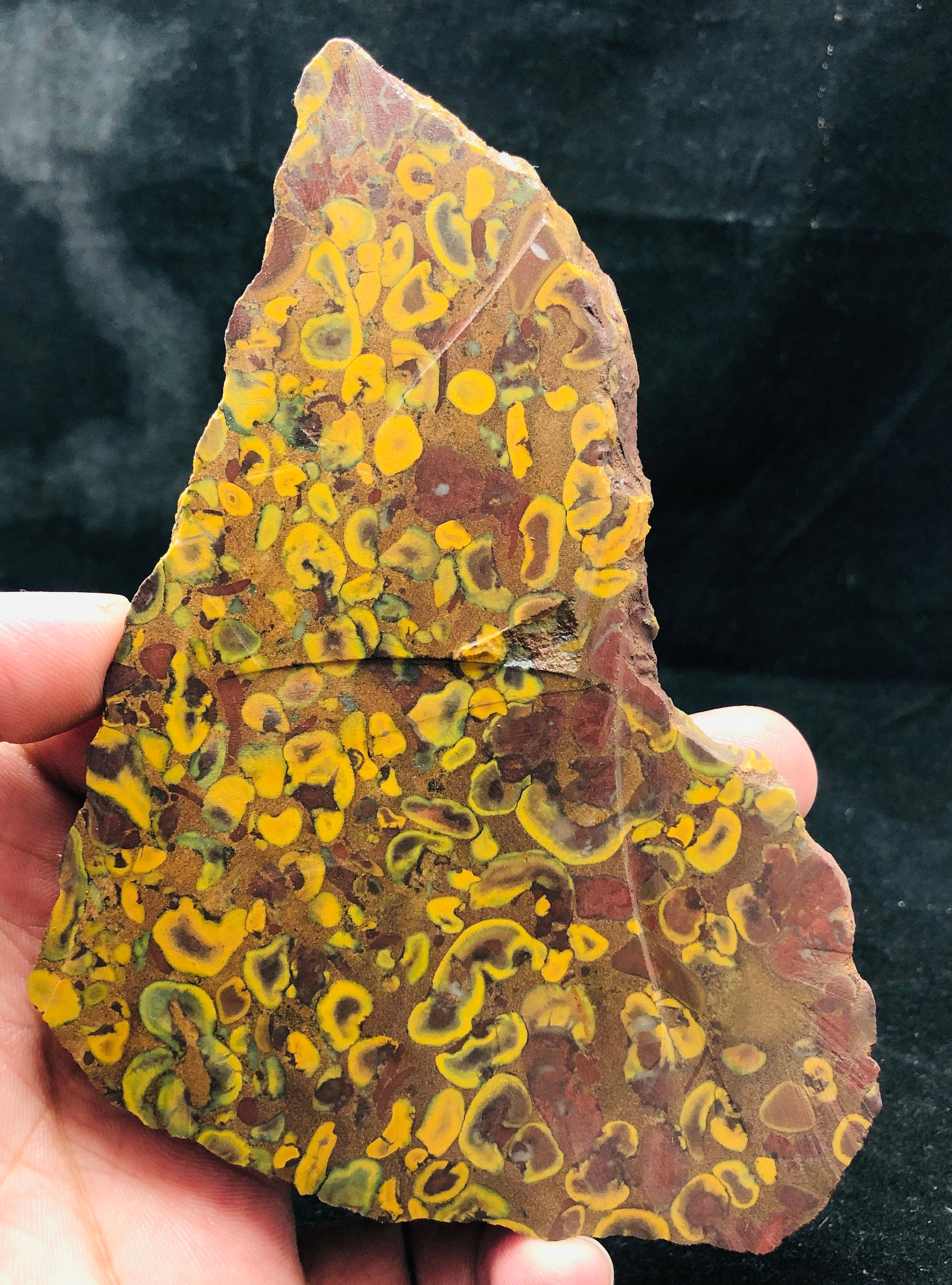 Unpolished Natural Fruit Jasper Rough Slice 203g 120x96x10mm