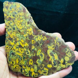 Unpolished Natural Fruit Jasper Rough Slice | Designer Slab 189g 130x105x9.3mm