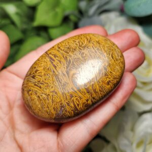 Calligraphy Stone - Sanskrit Stone - Palm Stone - Miriam Jasper - Elephant Skin Stone - Calligraphy Jasper - Palm Stone - Script Stone