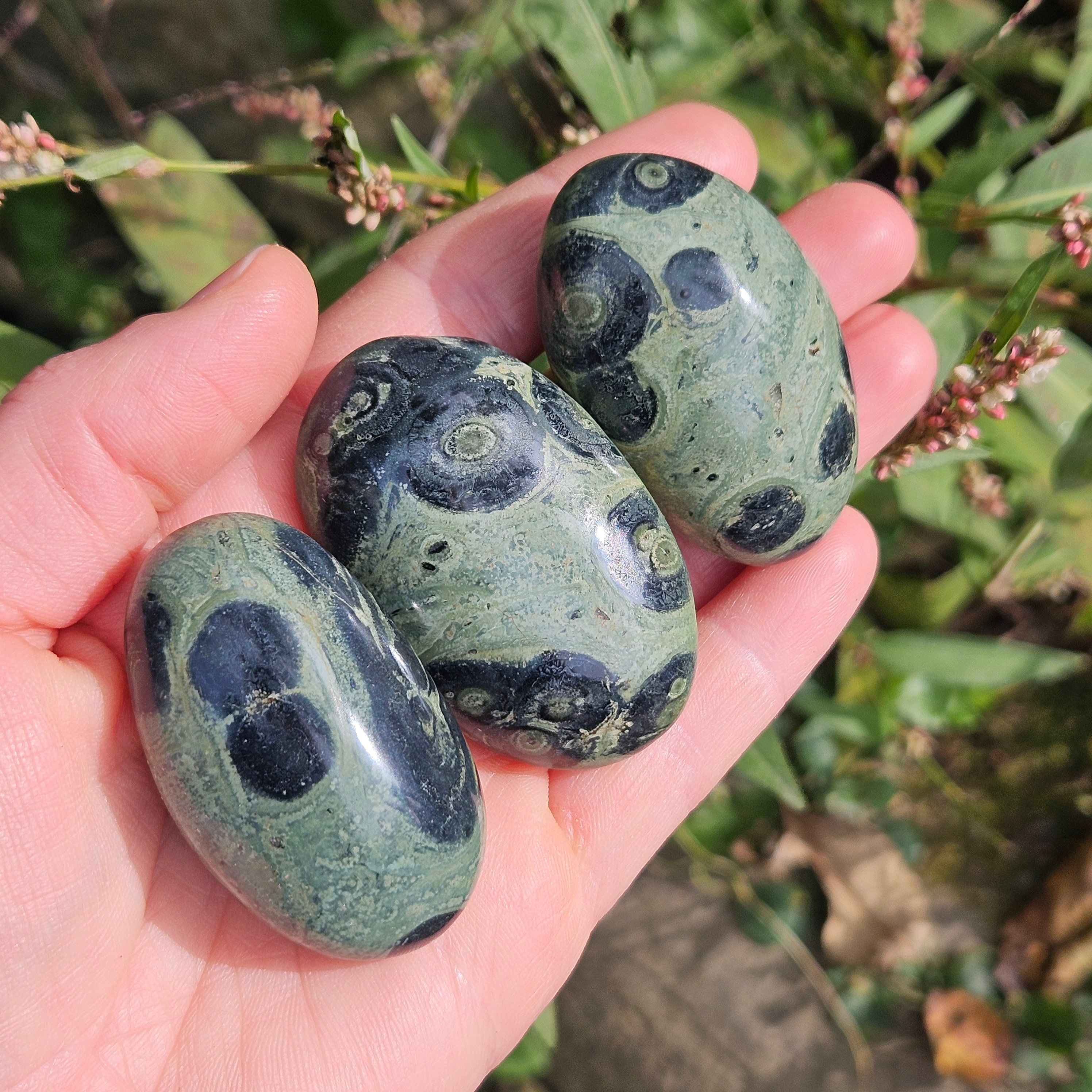 Polished Kambaba Jasper Palm Stone: Green Stromatolite Crystal Polished Kambaba Jasper Palm Stone: Green Stromatolite Crystal