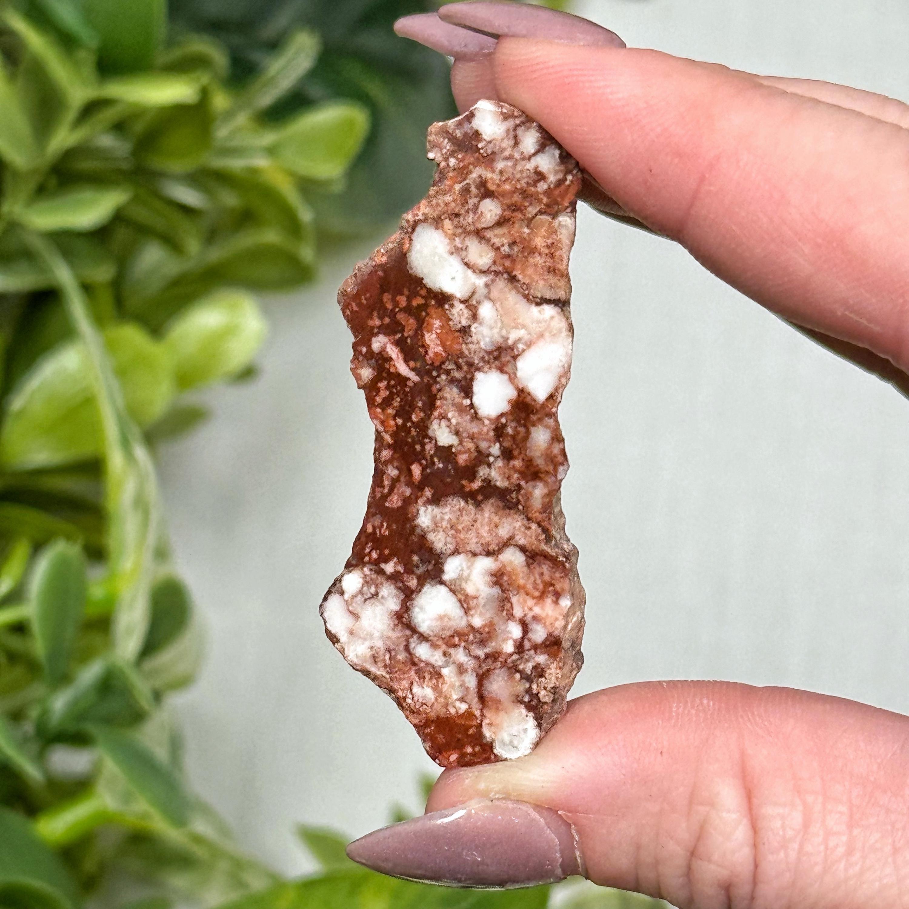 Wild Horse Jasper Slab | 10g | - #10 (polished Red Crystal Pocket Stone, Root Chakra, Grounding)