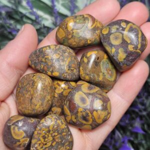 Ajooba Jasper Tumble Stone: Polished Spotted Jasper Crystal