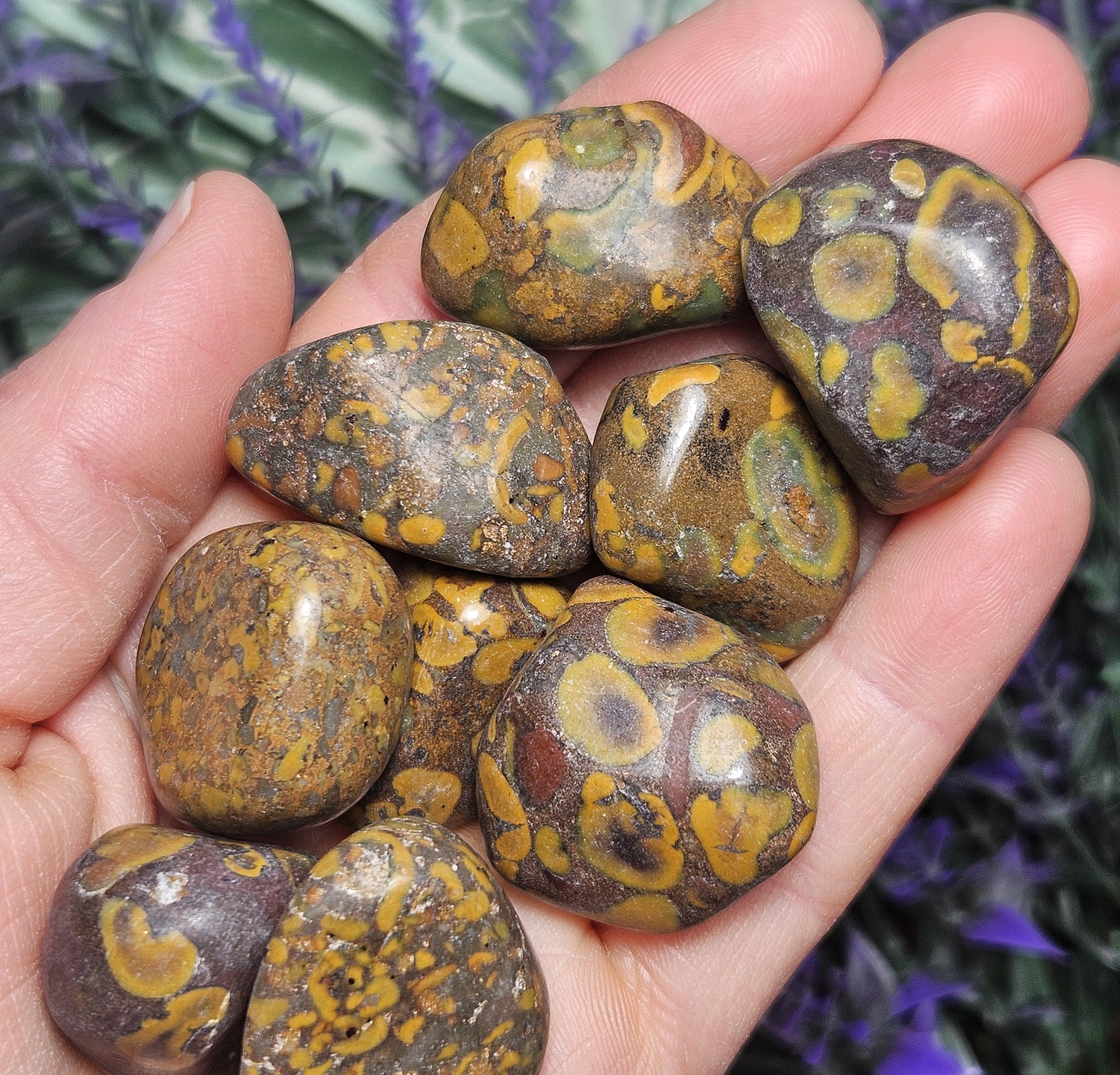 Ajooba Jasper Tumble Stone: Polished Spotted Jasper Crystal