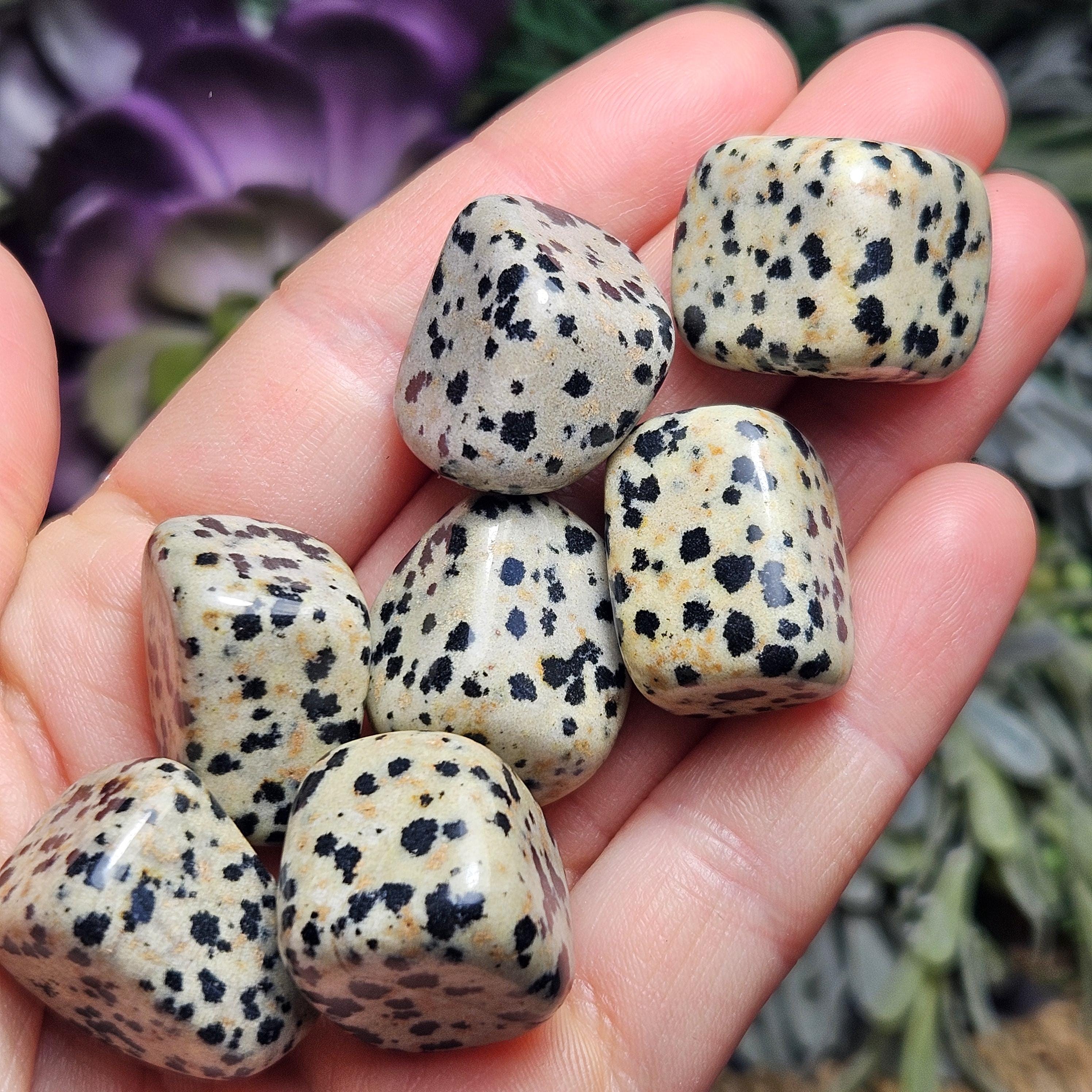 Dalmatian Jasper Stone - Jasper Stone - Dalmatian Jasper - Dalmatian Gemstone - Polished Jasper Stone - Tumbled Jasper - Jasper Specimen