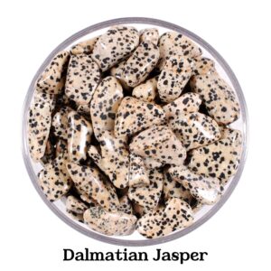 Dalmatian Jasper Tumbled Stone, Joy, Loyalty And Emotional Balance, Root Chakra Protection Crystal Gift For Virgo Gemini Spotted Gem