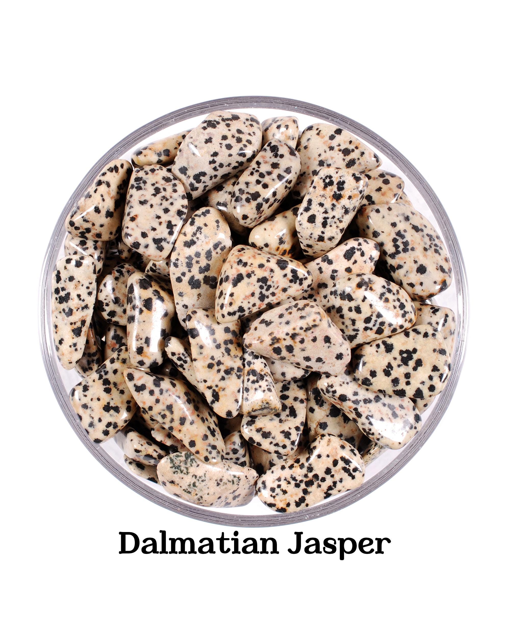 Dalmatian Jasper Tumbled Stone, Joy, Loyalty And Emotional Balance, Root Chakra Protection Crystal Gift For Virgo Gemini Spotted Gem