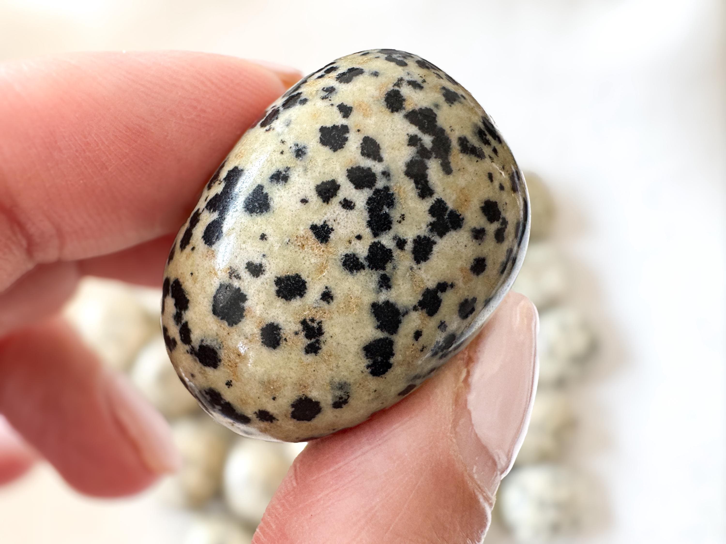 Dalmatian Jasper Tumble Stones: Grounding, Healing, And Anxiety Relief