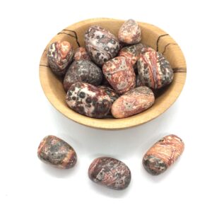 Leopard Skin Jasper Tumbled Stone 20-25mm