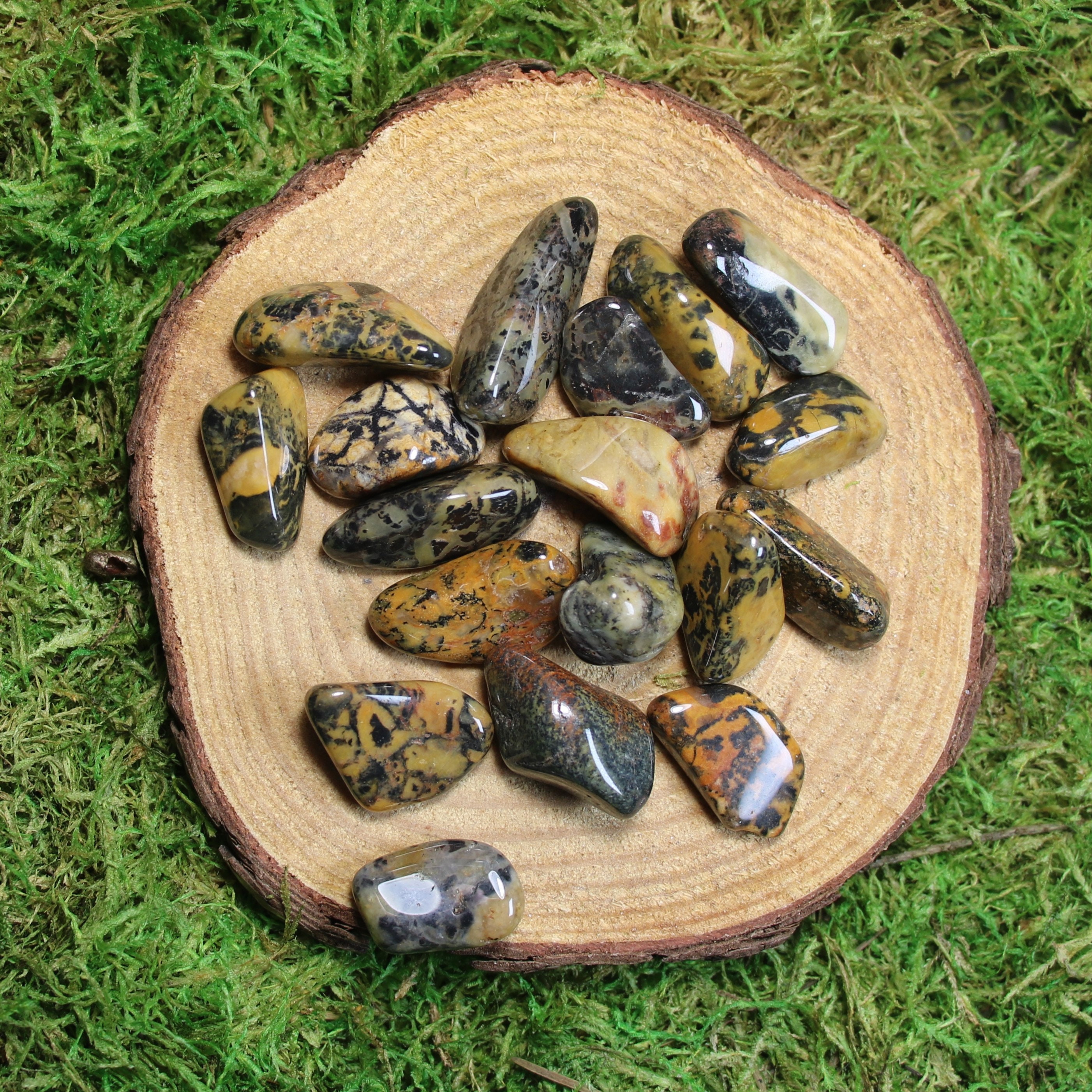 Puffadder Jasper Tumbled Medium