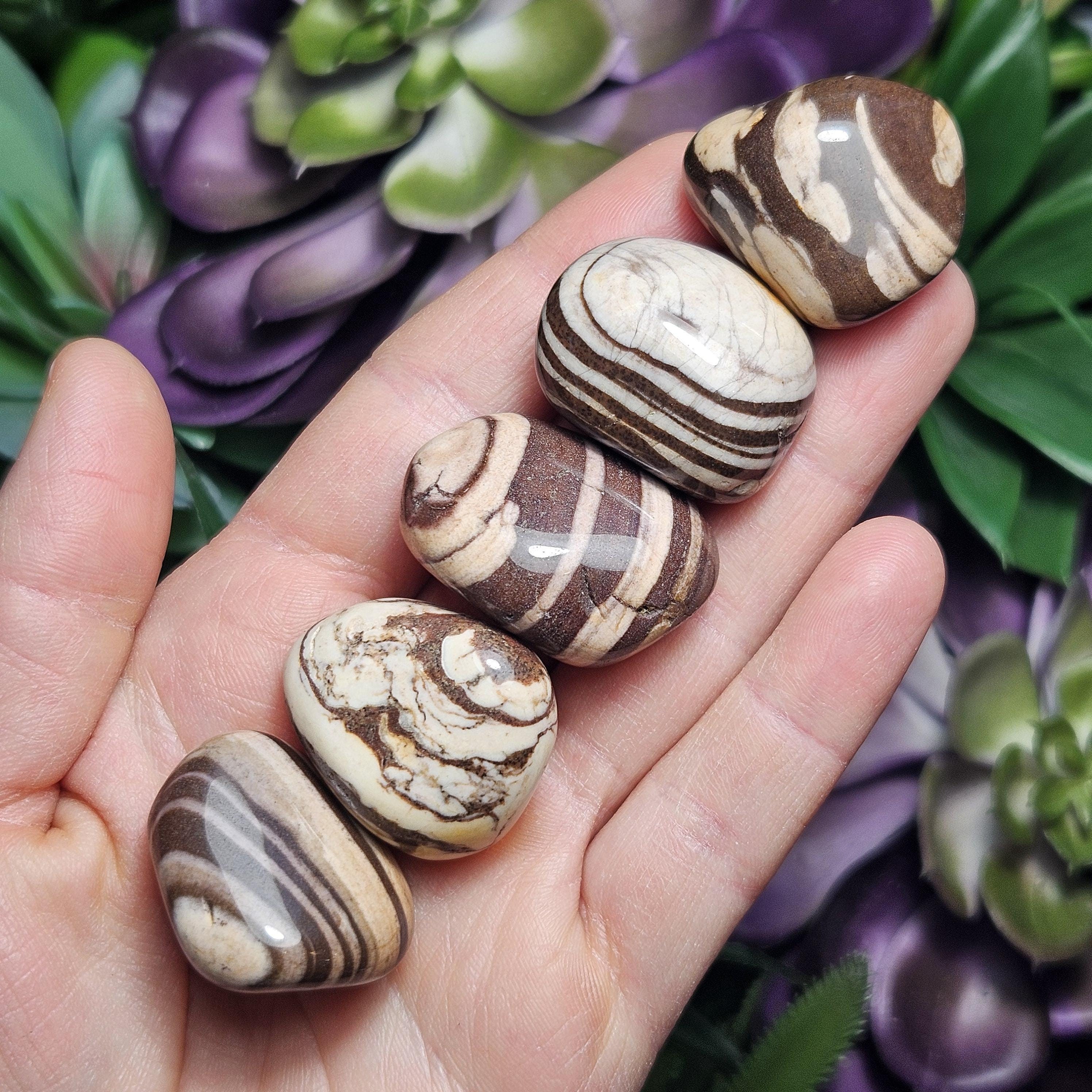 Red Zebra Jasper - Zebra Jasper Tumbled - Zebra Jasper Stone - Polished Jasper Stone - Jasper Crystal - Jasper Tumble - Zebra Crystal Red Zebra Jasper - Zebra Jasper Tumbled - Zebra Jasper Stone - Polished Jasper Stone - Jasper Crystal - Jasper Tumble - Zebra Crystal