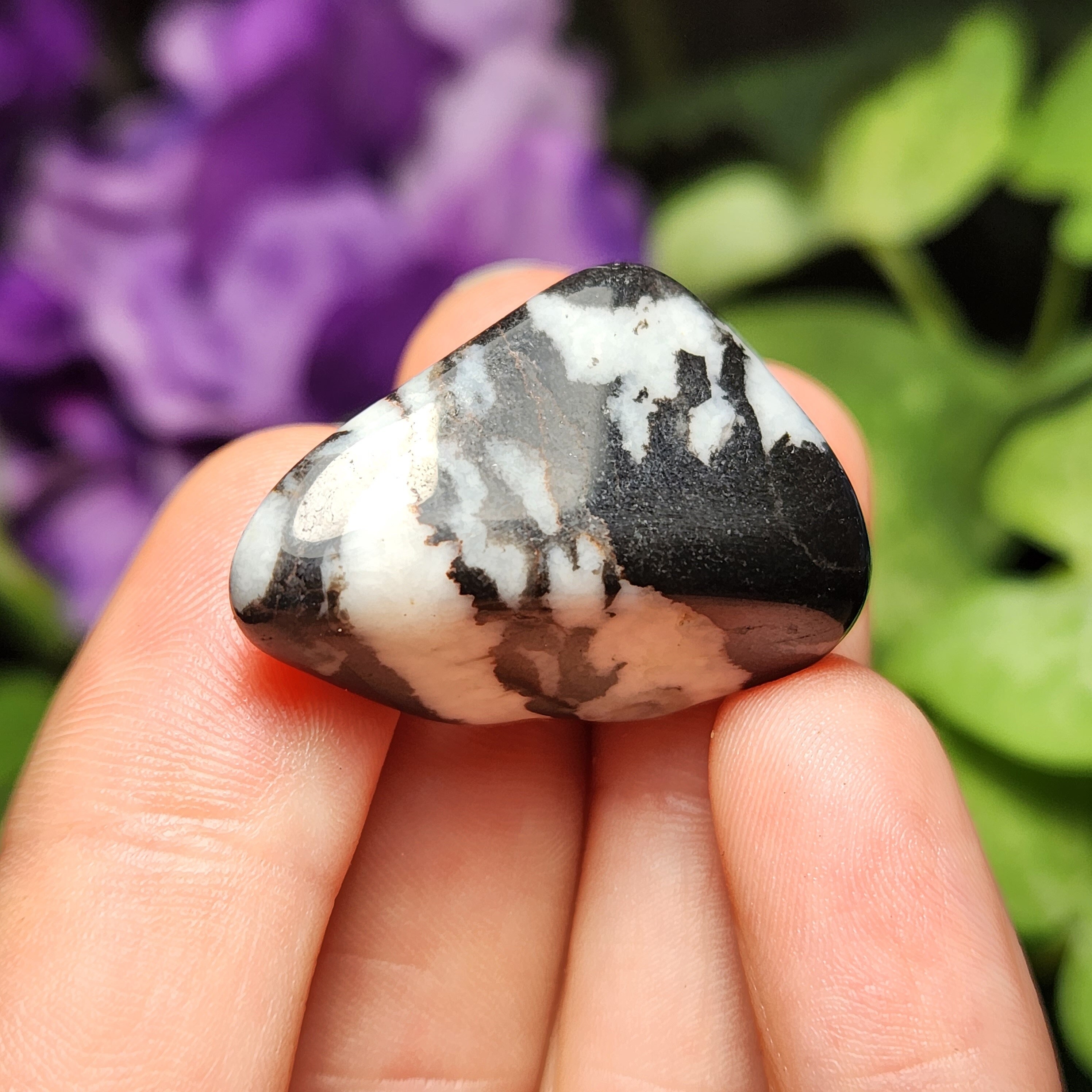 Zebra Jasper - Zebra Jasper Tumbled - Zebra Jasper Stone - Jasper Stone - Jasper Crystal - Jasper Tumble - Zebra Crystal - Polished Jasper