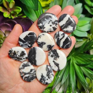 Zebra Jasper Tumbled Stone - Zebra Jasper Crystal - Black & White Jasper - Natural Zebra Stone