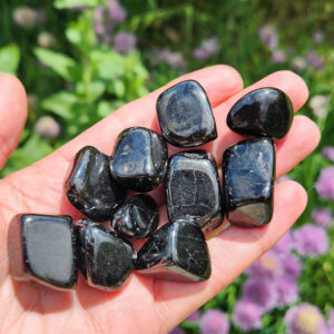Tumbled Jet Crystal Specimen: Polished Black Lignite Fossil