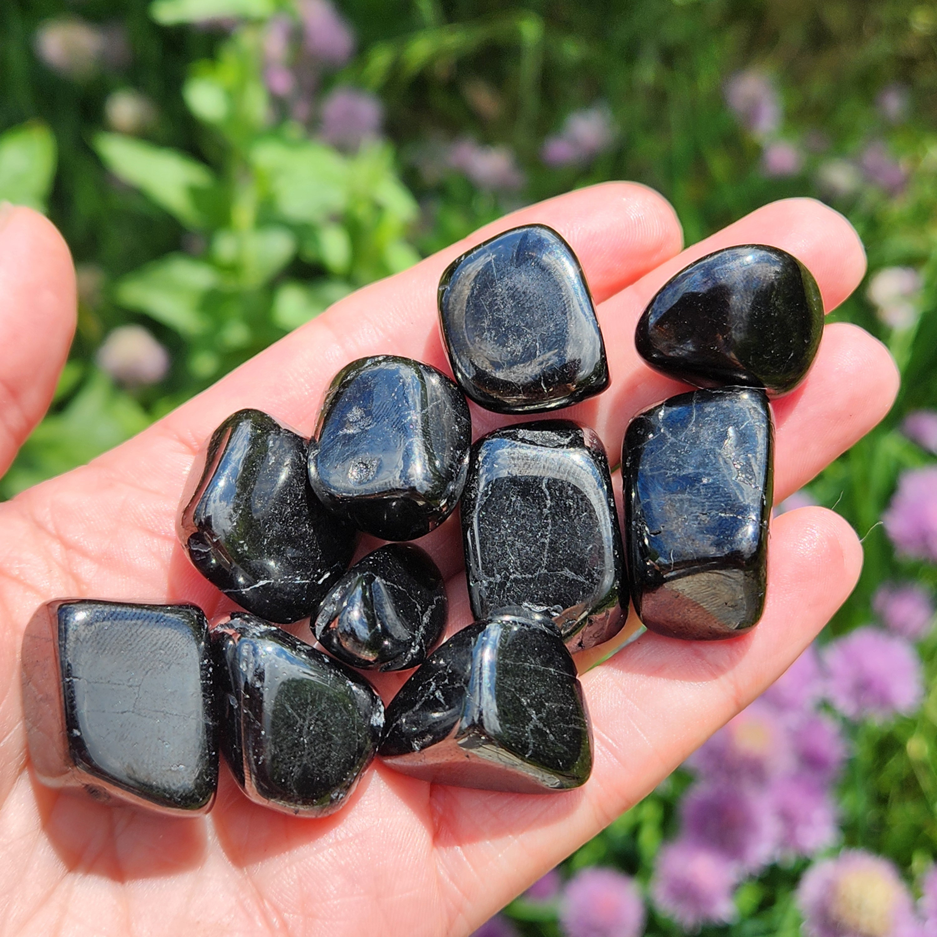 Tumbled Jet Crystal Specimen: Polished Black Lignite Fossil Tumbled Jet Crystal Specimen: Polished Black Lignite Fossil