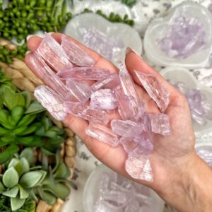 Kunzite | Xs-l | - No. 262 (raw Pink Crystal Specimen, Heart Chakra, Healing Stone, Love)