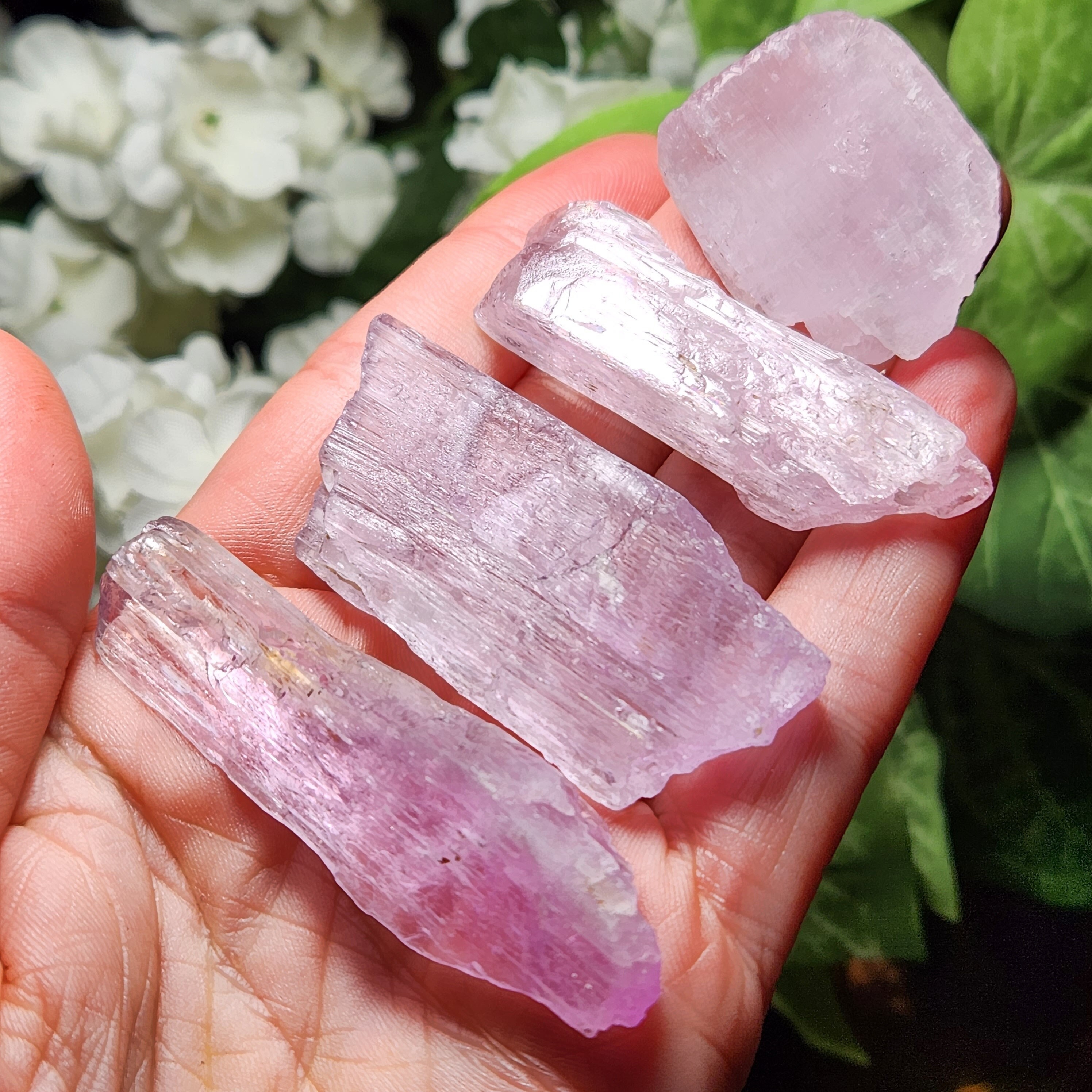 Xl Raw Kunzite Crystal Specimen: Pink-purple Kunzite