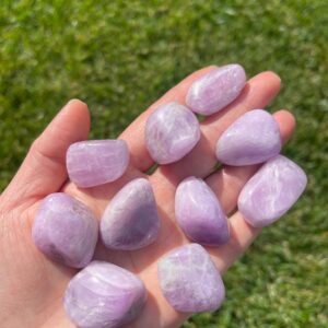 10 Kunzite Tumbled Stones