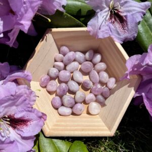 Kunzite Tumbled Stone - Small - Healing Crystal - Divine Love, Empathy, Understanding, Calming