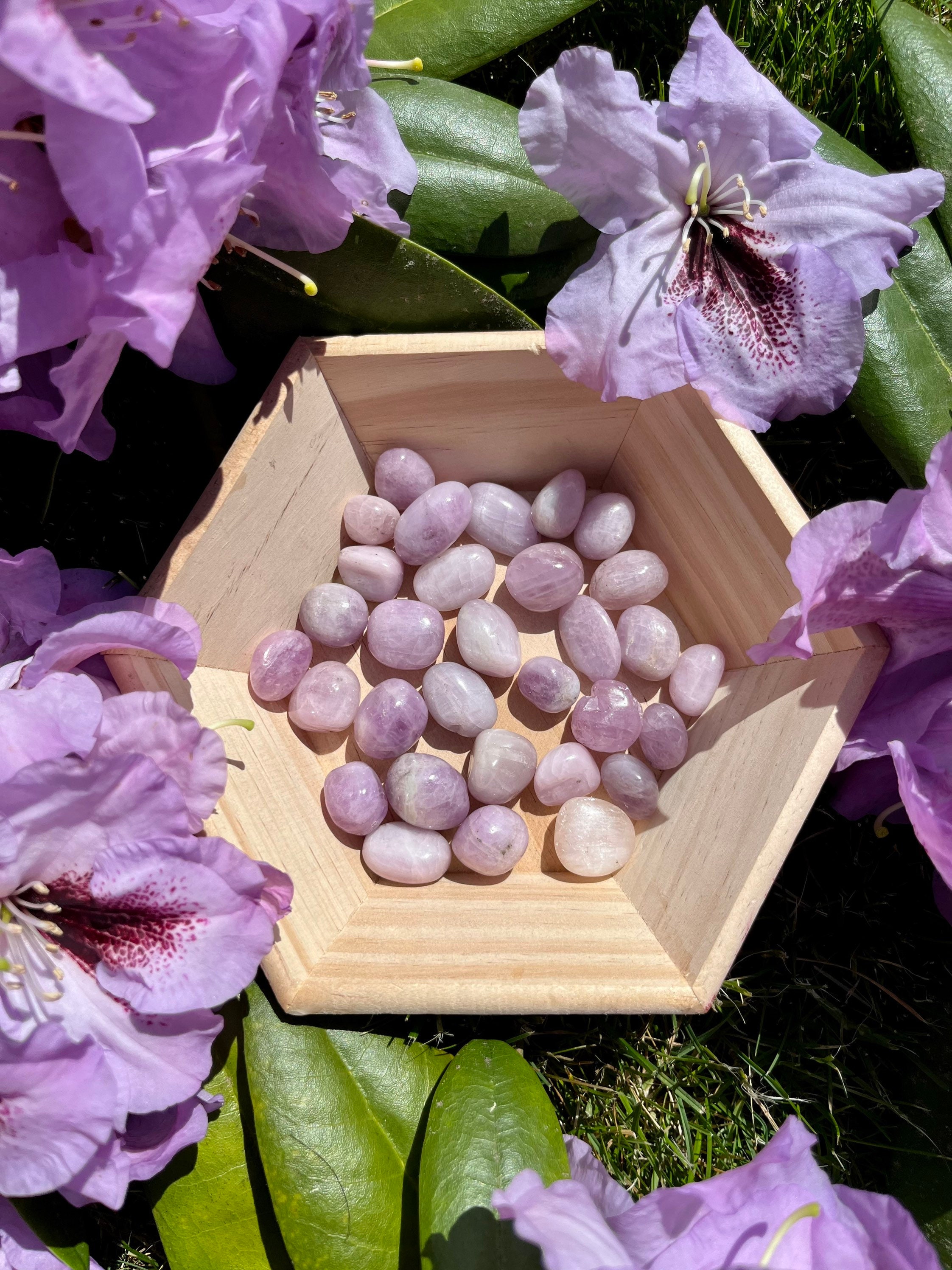 Kunzite Tumbled Stone - Small - Healing Crystal - Divine Love, Empathy, Understanding, Calming