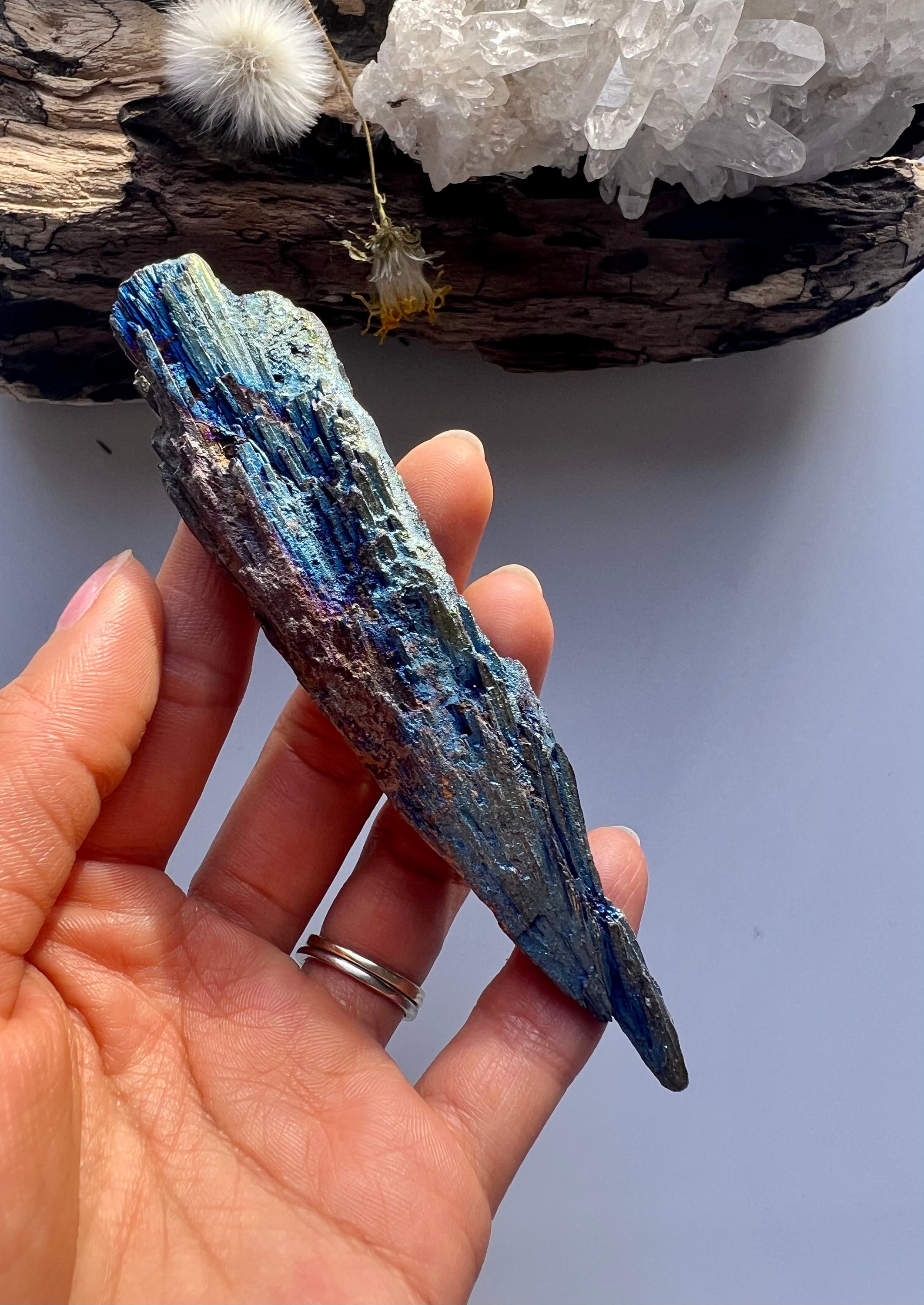 Aura Black Kyanite Specimen, Peacock Kyanite Aura Black Kyanite Specimen, Peacock Kyanite