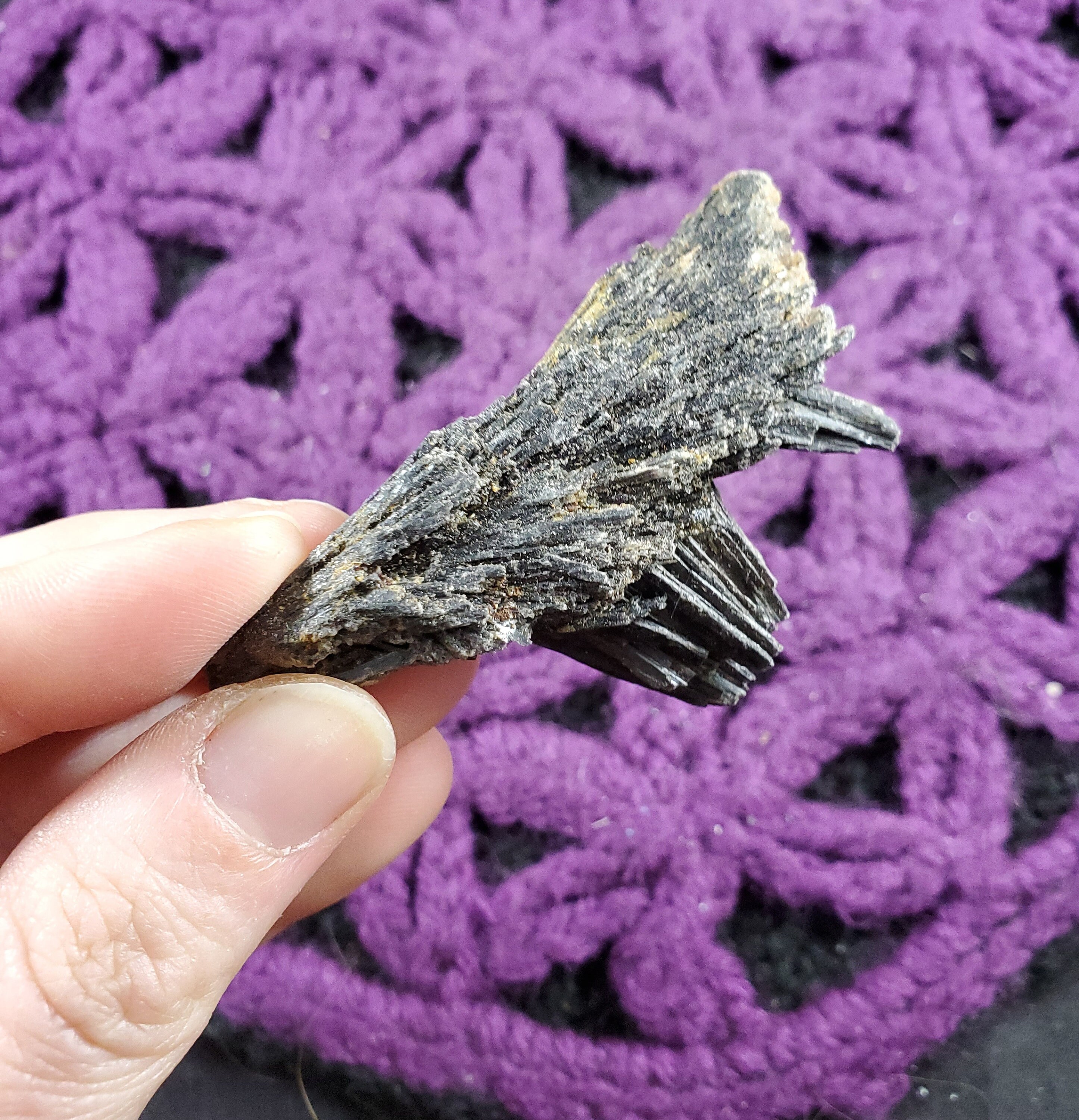 Black Kyanite Fan Blade Cluster Crystal Stones Crystals Rough Natural