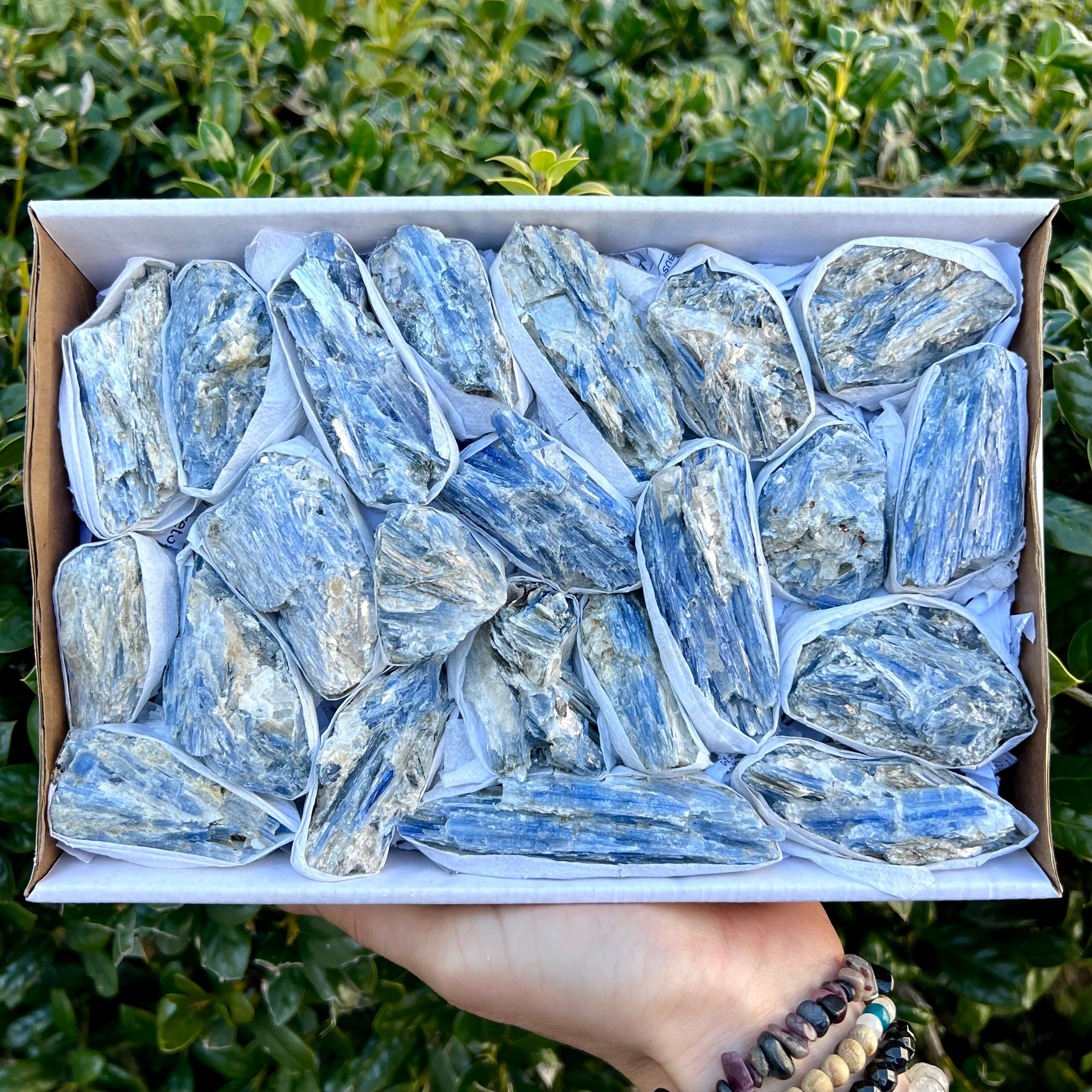 Blue Kyanite Crystal Cluster: Rough Natural Healing Stones