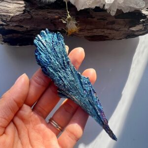 Peacock Aura Black Kyanite Specimen