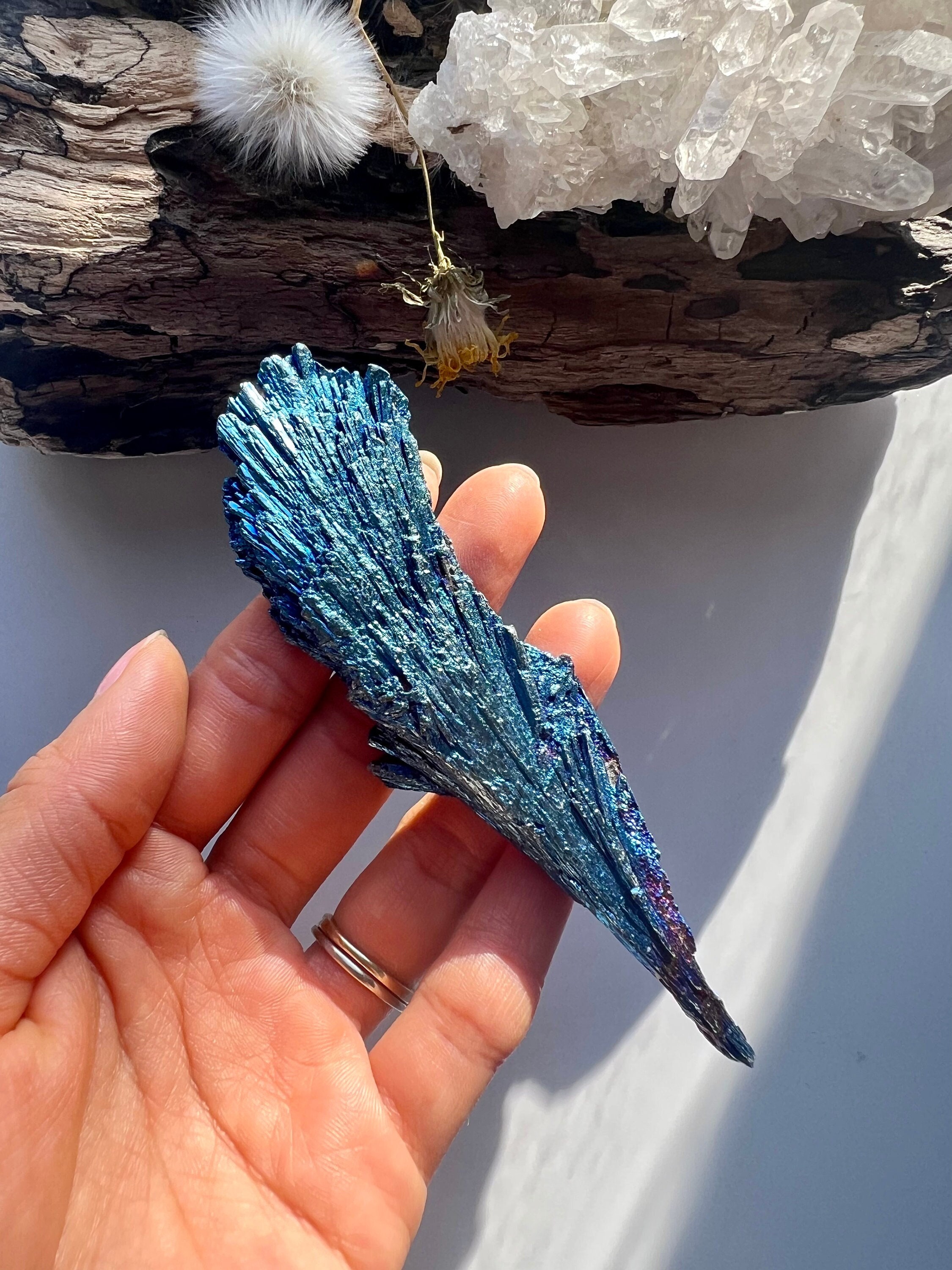 Peacock Aura Black Kyanite Specimen